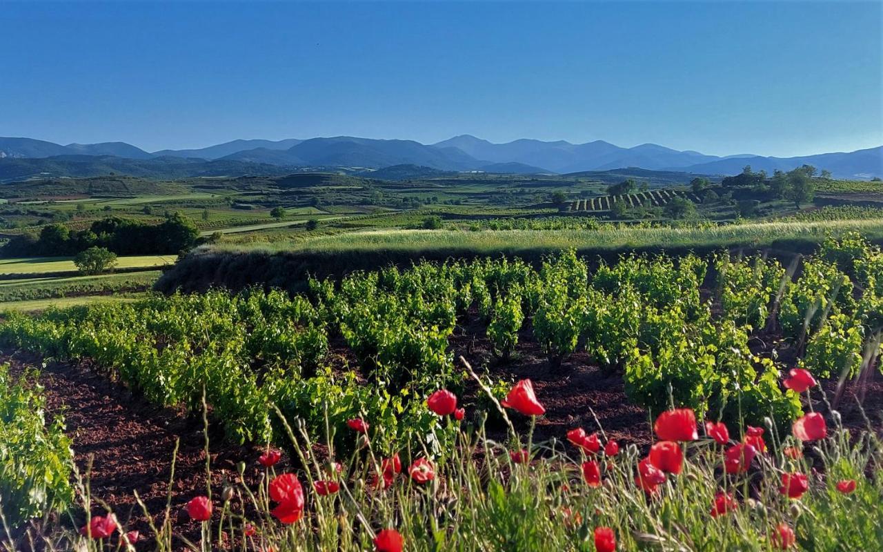 Sojuela Turismo Golf Naturaleza Y Vino Kültér fotó